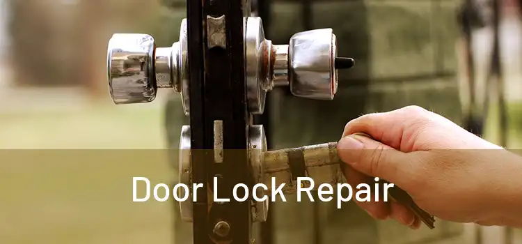 Door Lock Repair
