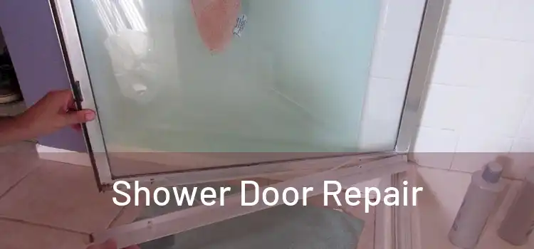 Shower Door Repair